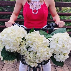 Lilly Pulitzer Annabelle top